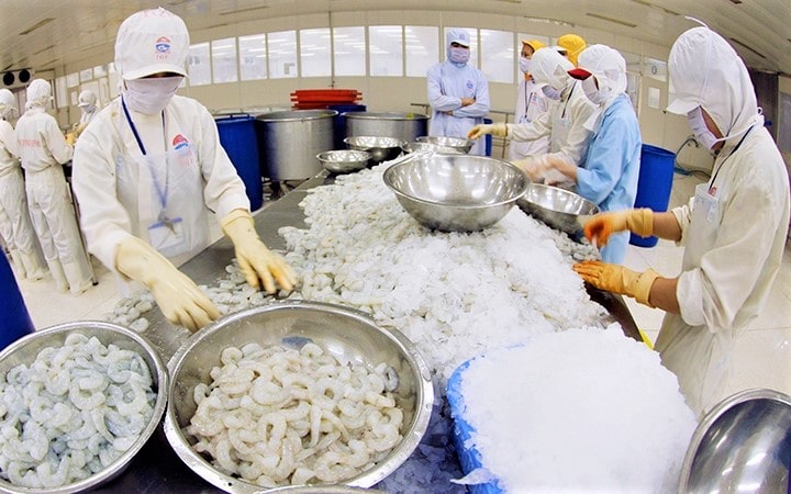 キエンクオン輸出入水産物加工株式会社工場