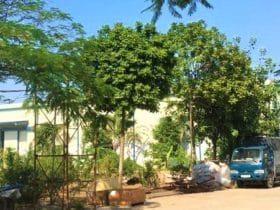 ナムクンハノイ株式会社