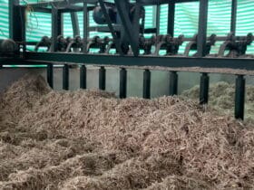 entry-306_COMPANY_LIMITED_KINDNESS_FIRST_FACTORY_1