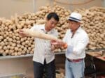 vietnamese-65_factory02